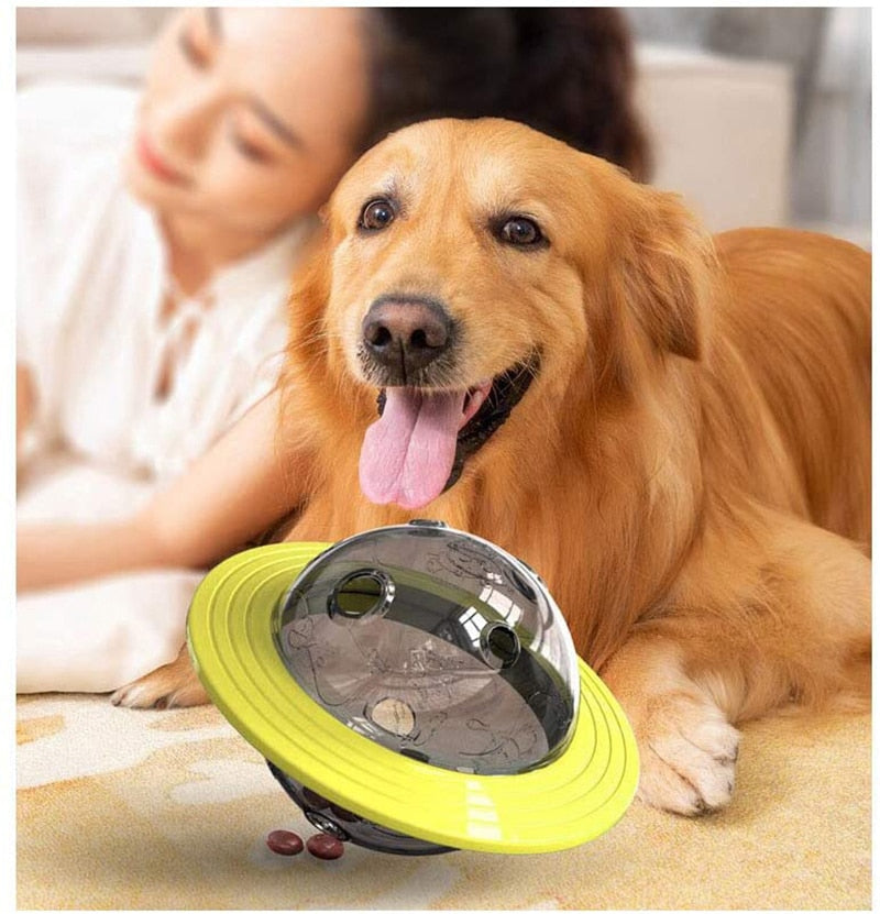 Treat Dispenser Dog Ball Toy