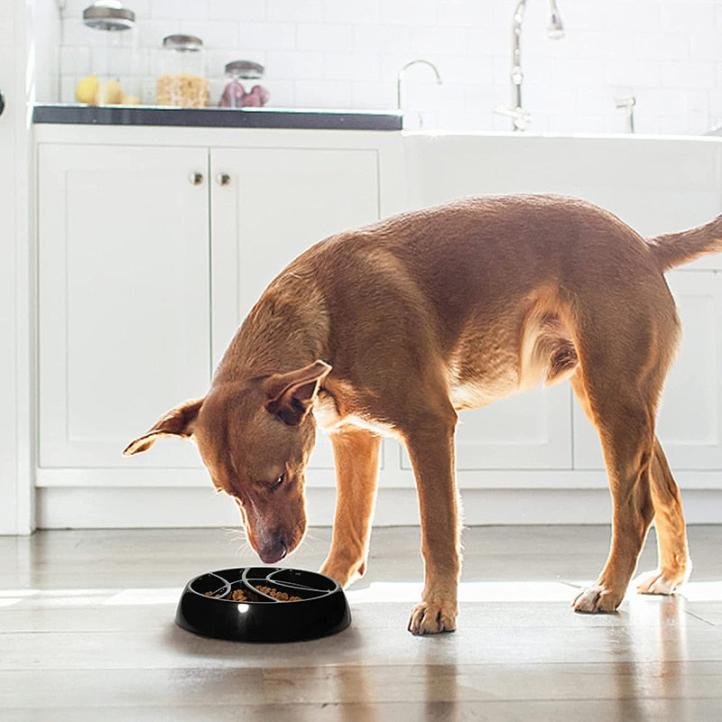 Interactive Basketball Dog Slow Feeder