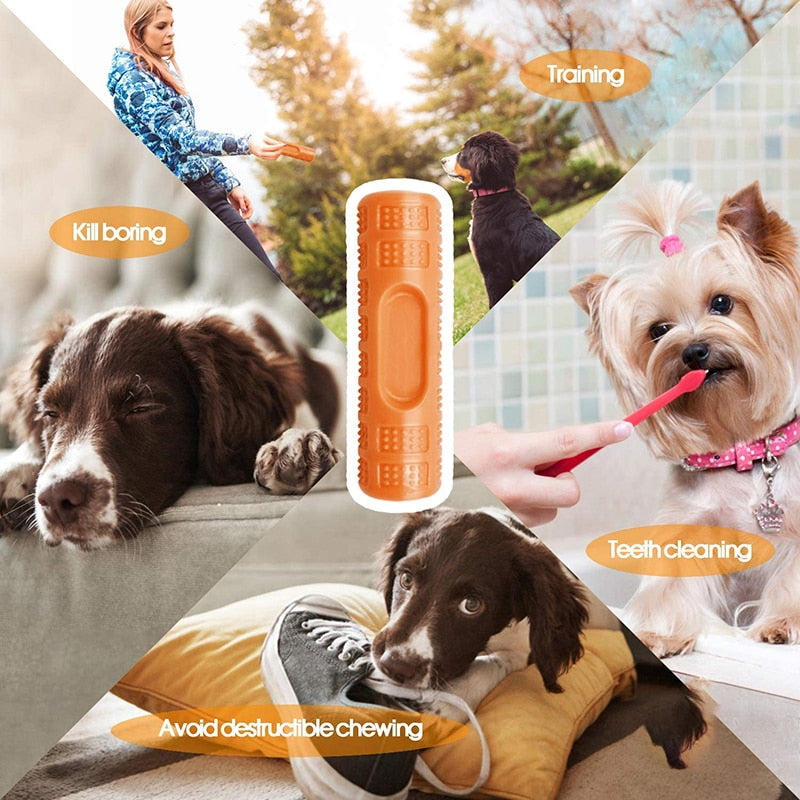 Floatable Bouncy Dog Bone Stick