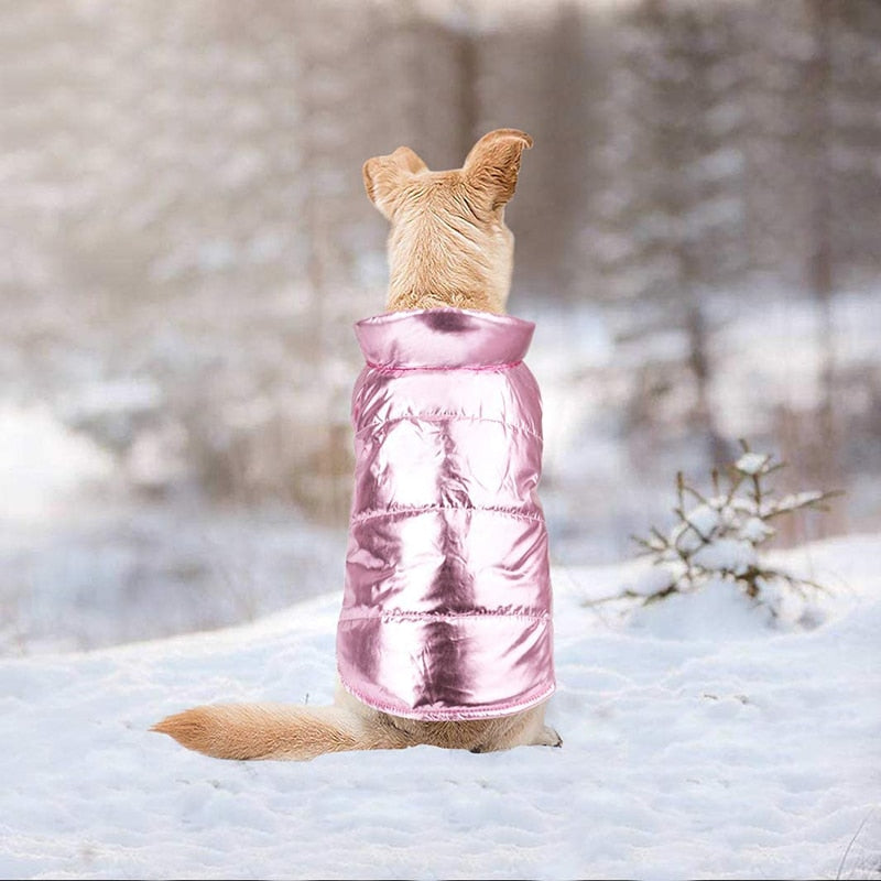 Cute Warm Cozy Dog Winter Coat