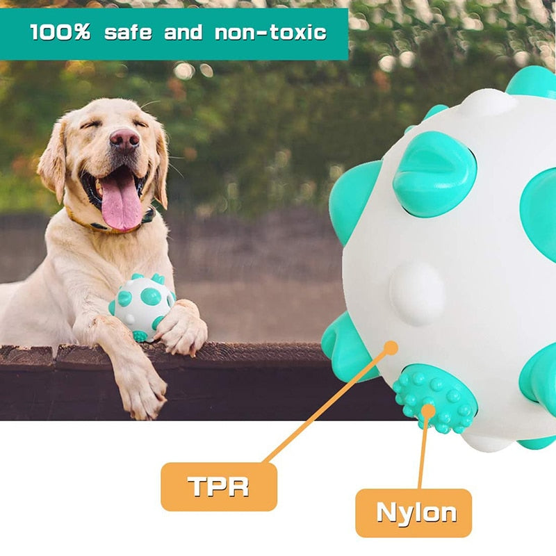 Bite Resistant IQ Treat Dog Ball