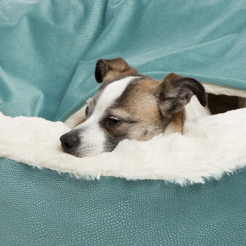 Orthopedic Dog Bed With Hooded Blanket