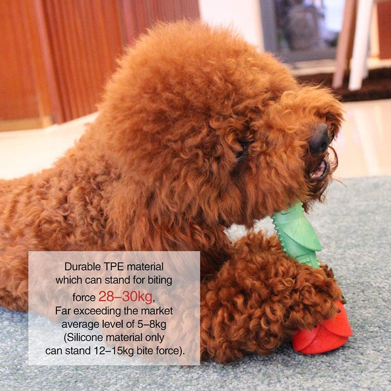 Durable Rose Shaped Dog Toys