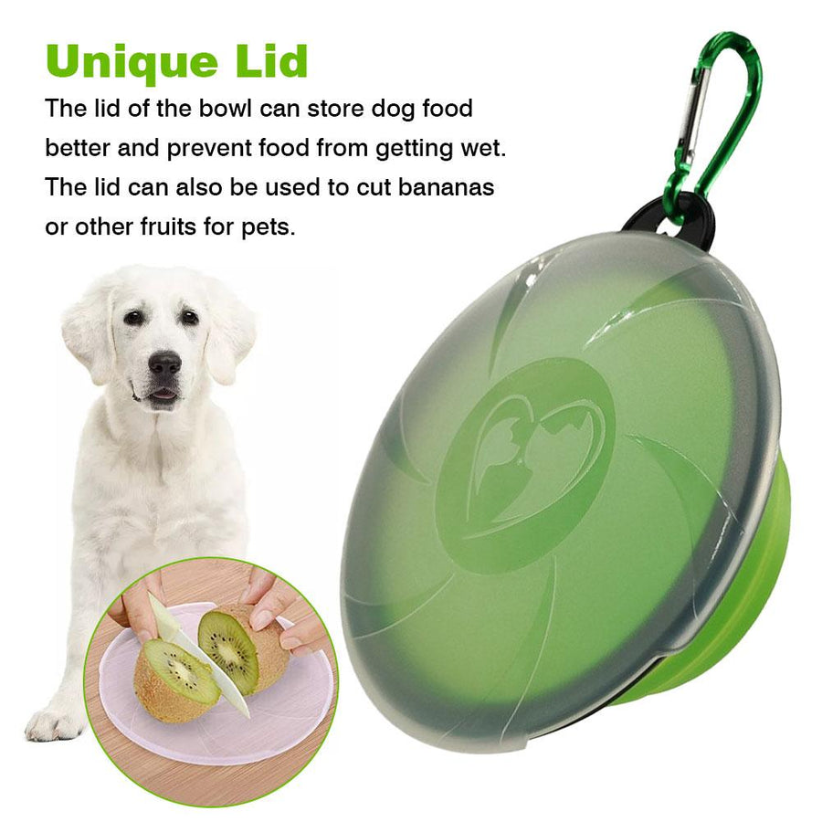 Collapsible Green Dog Bowls