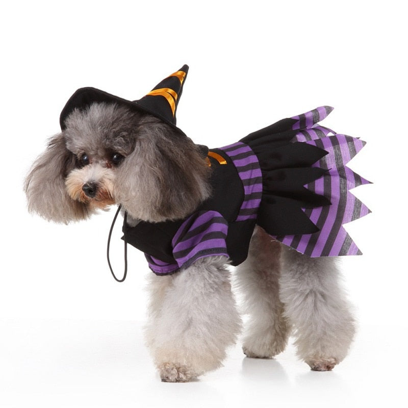 Halloween Funny Wizard Dog Costumes