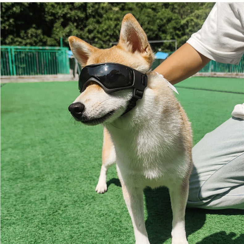 Anti UV Dog Black Goggles