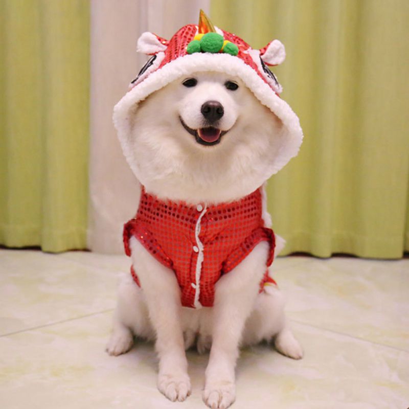 Lion Dance Dog Costume