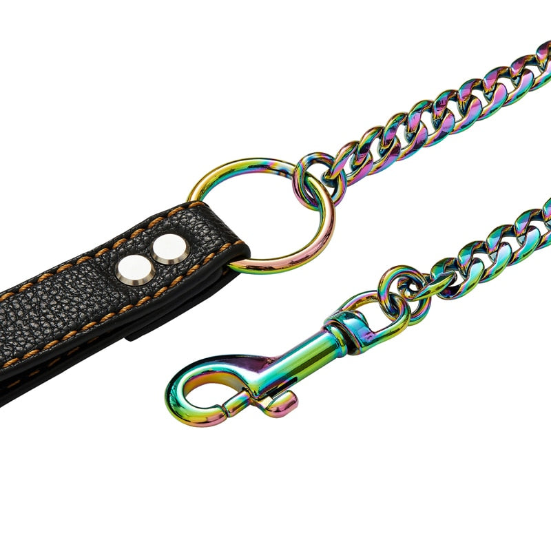 Stainless Steel Pet Dog Leash