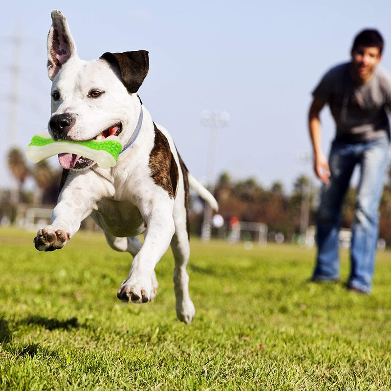 Cowhide Taste Dog Bone Toys