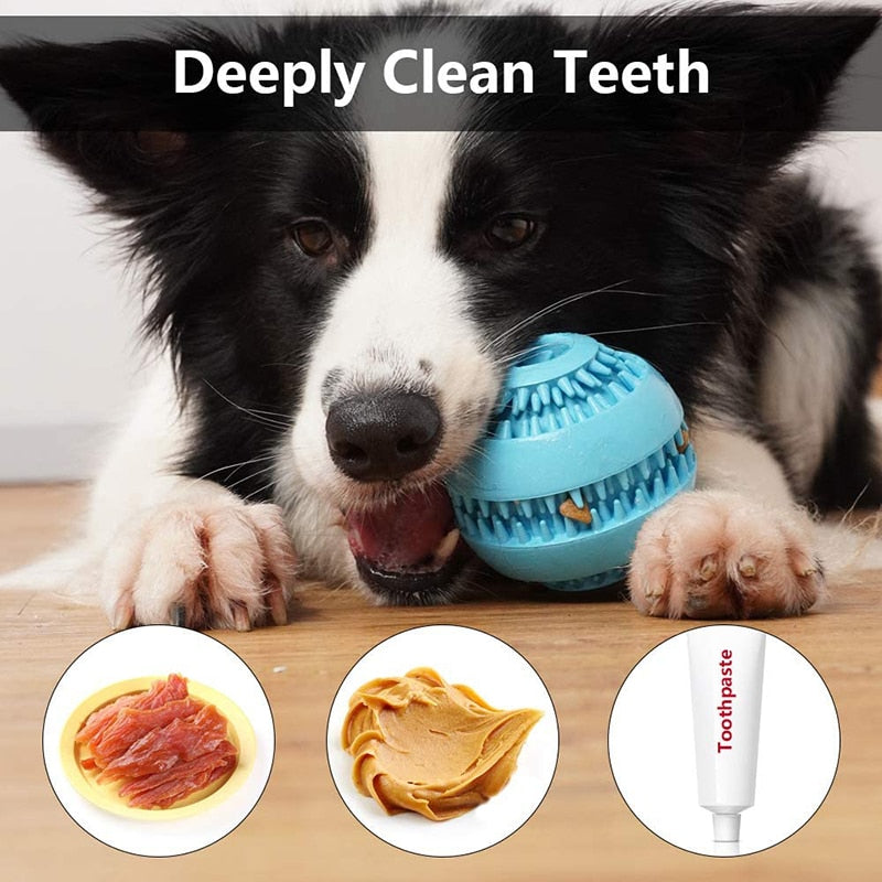 Natural Rubber Slow Feeding Dog Ball