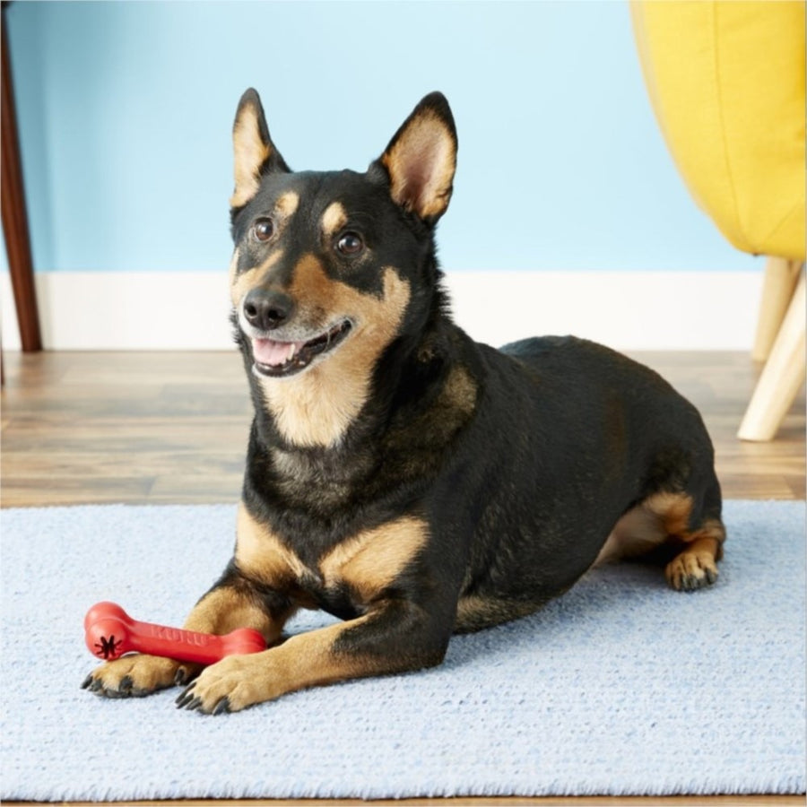 Goodie Bone Dog Toy