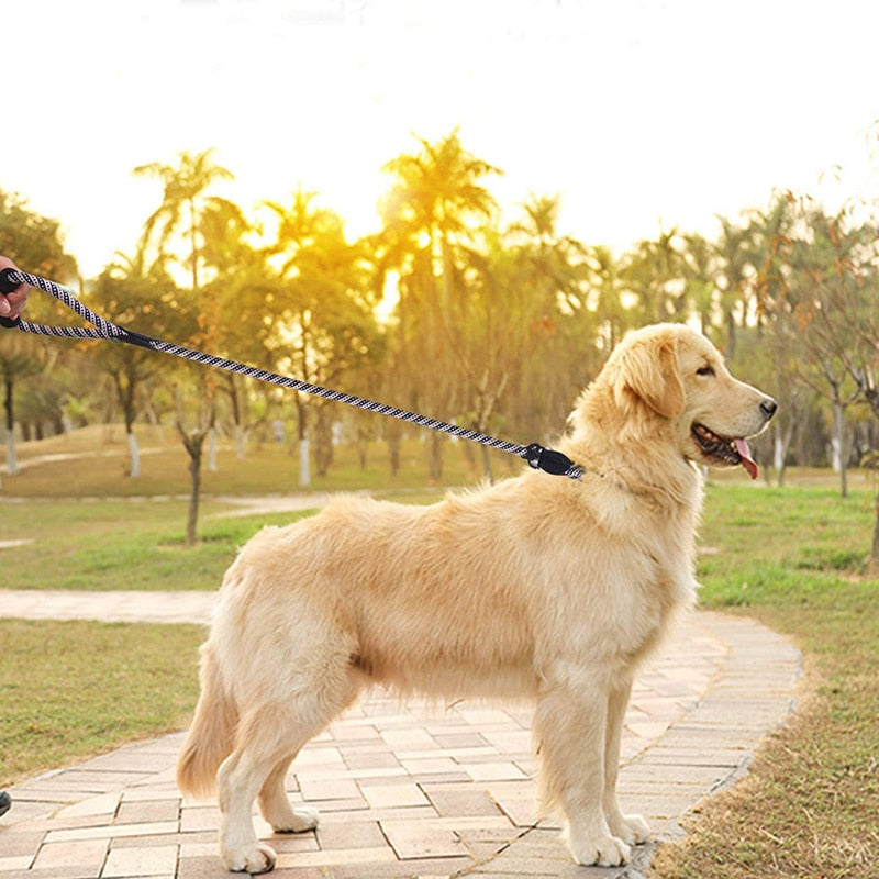 Strong Braided Slip Dog Leash Rope