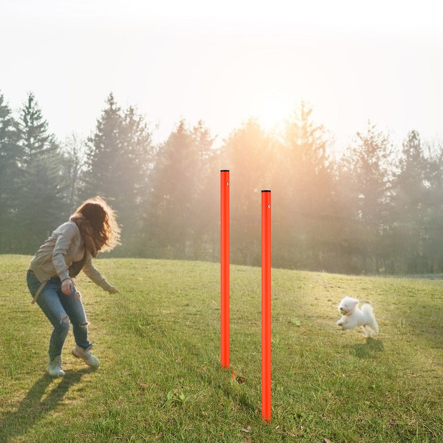 Dog Agility Training Equipment Set