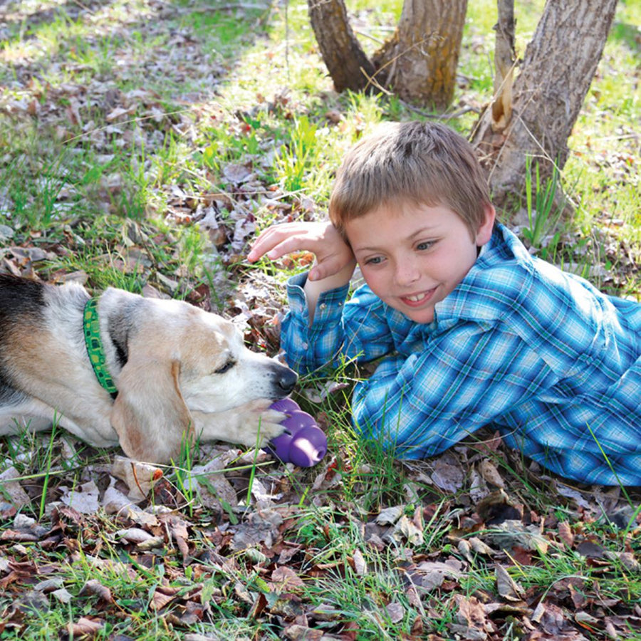 Senior Dog Chew Toys