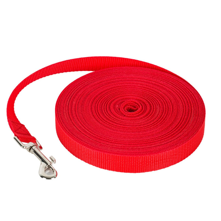 Outdoor Training Running Dog Leash