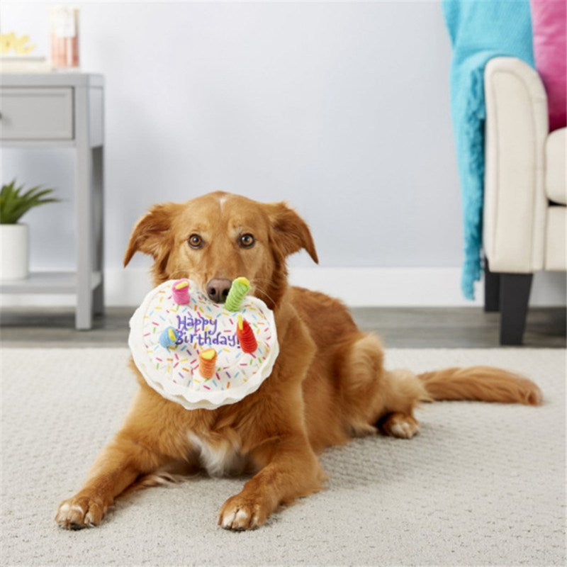 Birthday Cake Squeaky Dog Toy