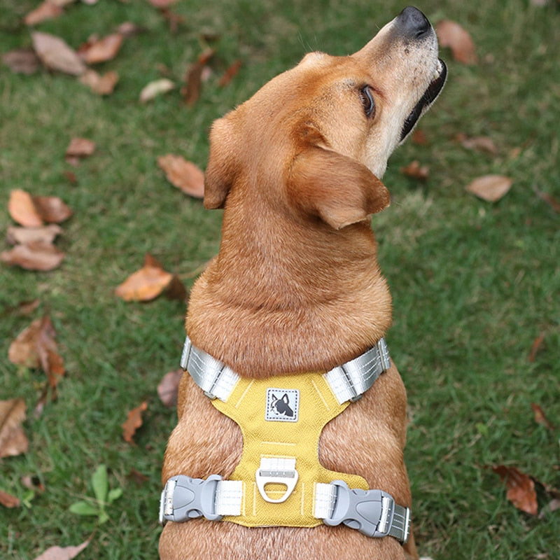 No Pull Padded Pet Dog Harness