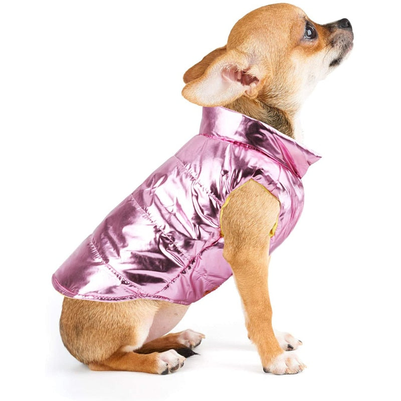 Cute Warm Cozy Dog Winter Coat