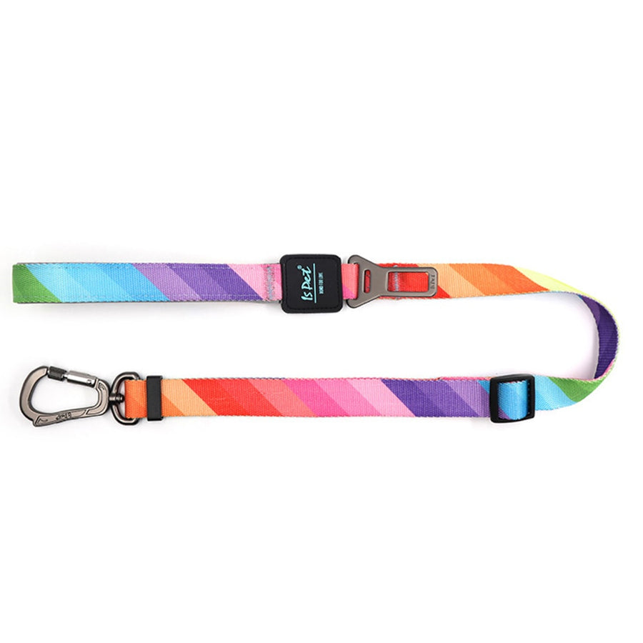 2 In 1 Purpose Dog Leash