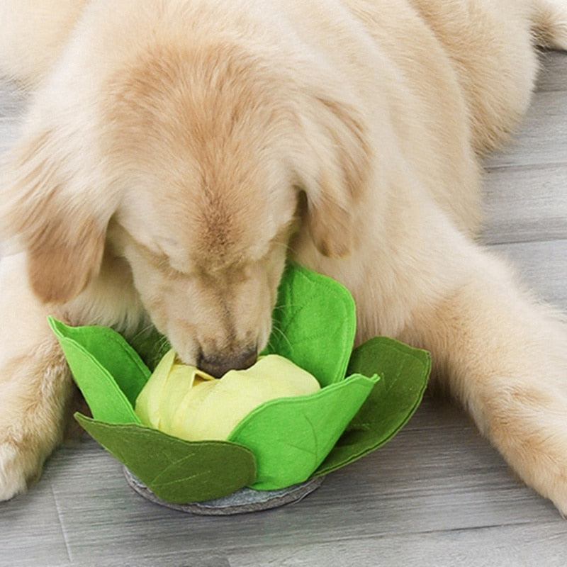 Cabbage Pet Dog Sniffing Toys