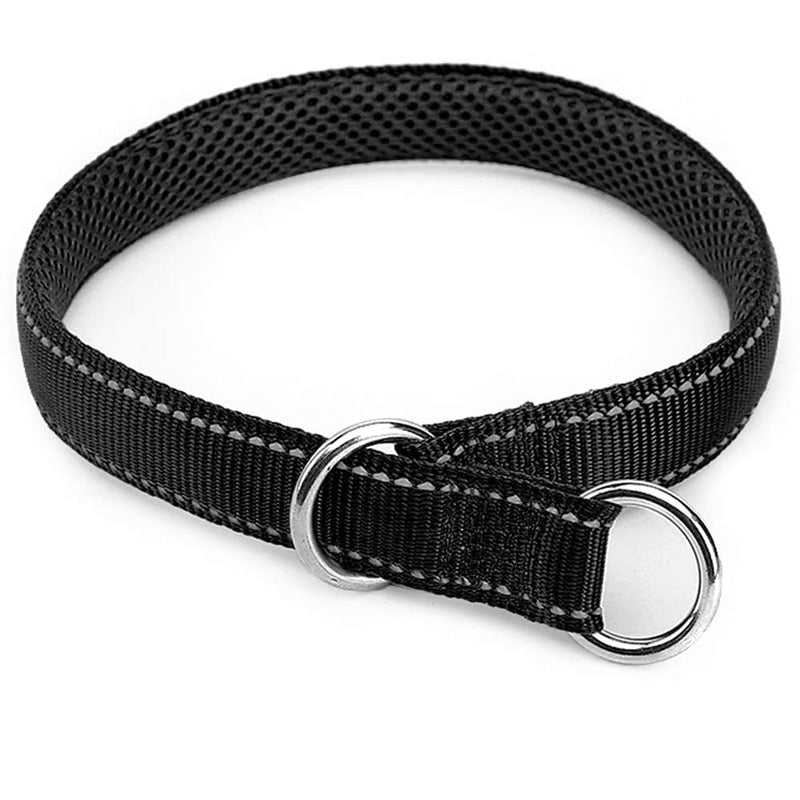 Premium Nylon Strap Dog Collar