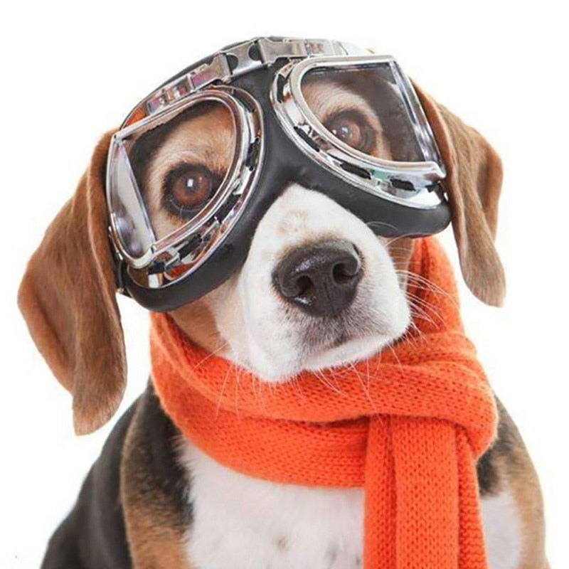 Stylish Skiing Dog Goggles