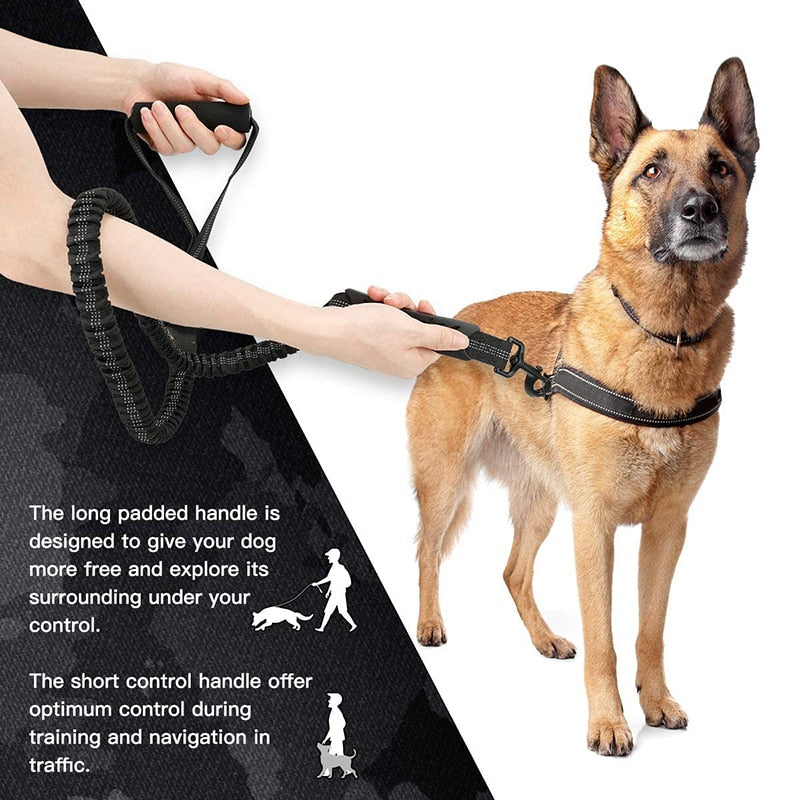 Ergonomic Padded Handle Bungee Dog Leash