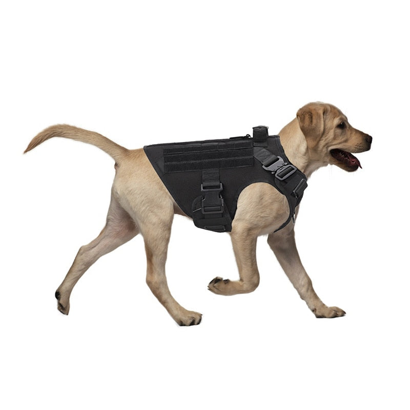 Black Angel Military Tactical Dog Vest