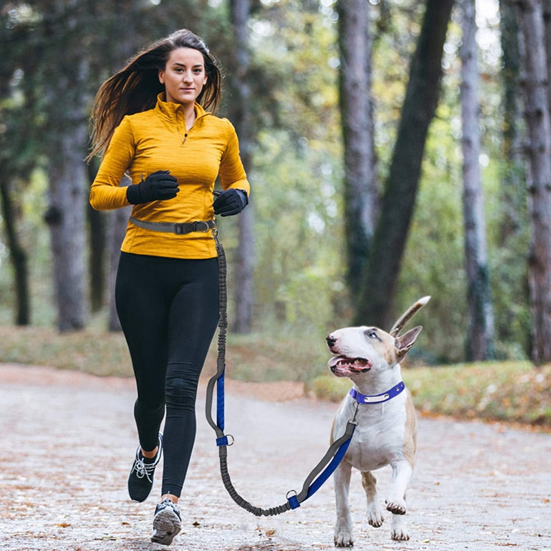 Dual Handles Hands Free Dog Leash