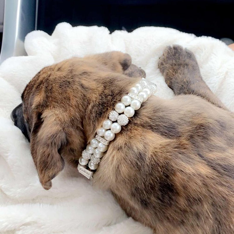 Elegant Crystal Rhinestone Dog Collar