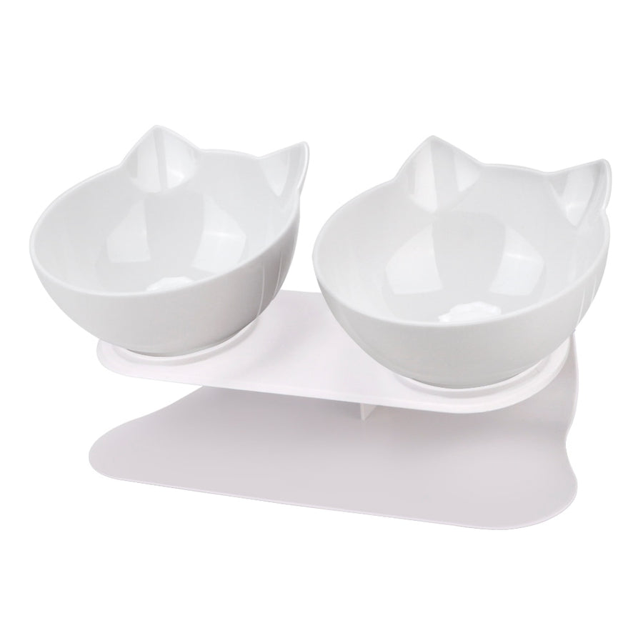 Raised Stand Double Pet Bowl