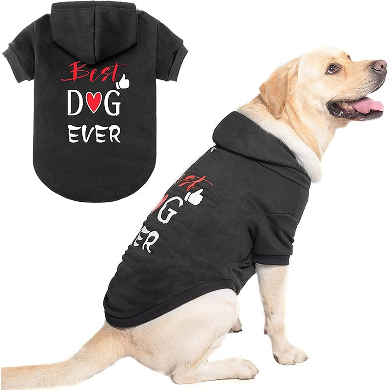 Fashion Print Stylish Dog Hoodie