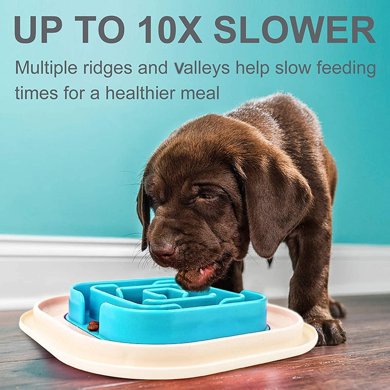 Raised Edges Pet Slow Feeder Bowl