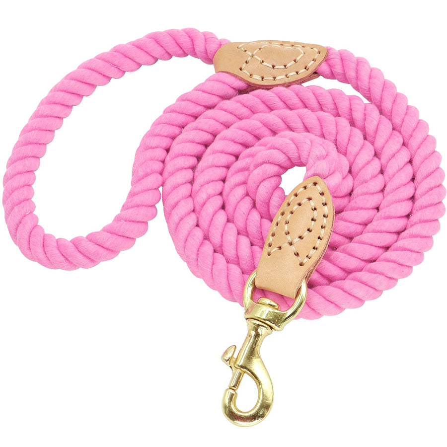 5ft Durable Nylon Dog Leash