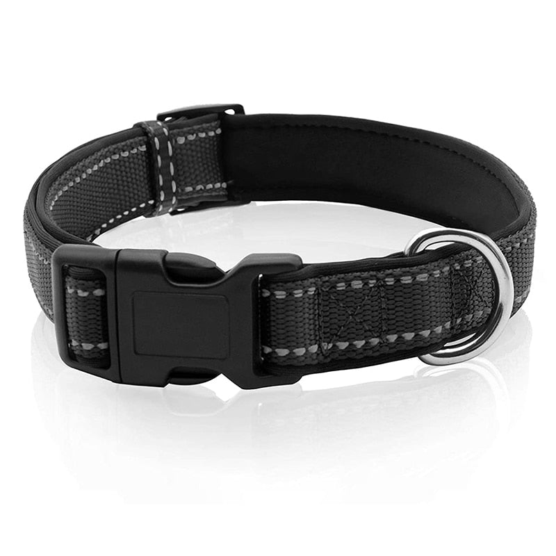 Neoprene Padded Solid Dog Collar