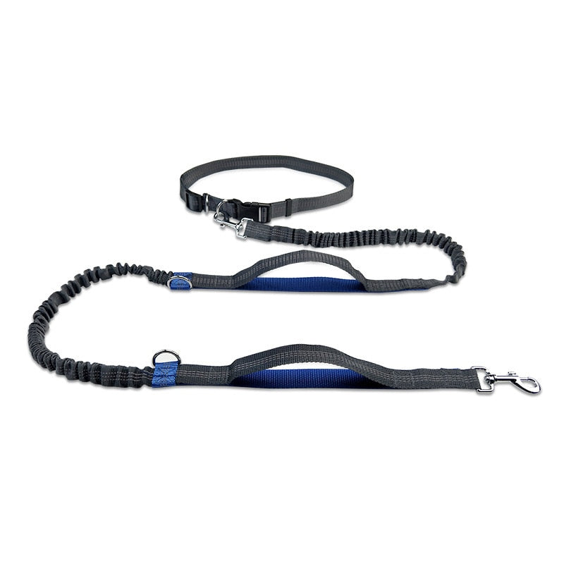 Dual Handles Hands Free Dog Leash