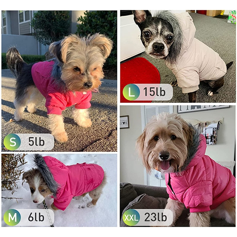 Windproof Padded Warm Dog Winter Coat