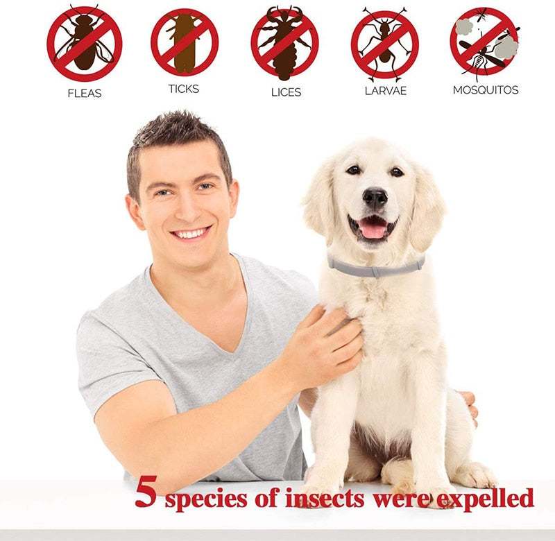 Pet Flea 8 Months Protection Collar