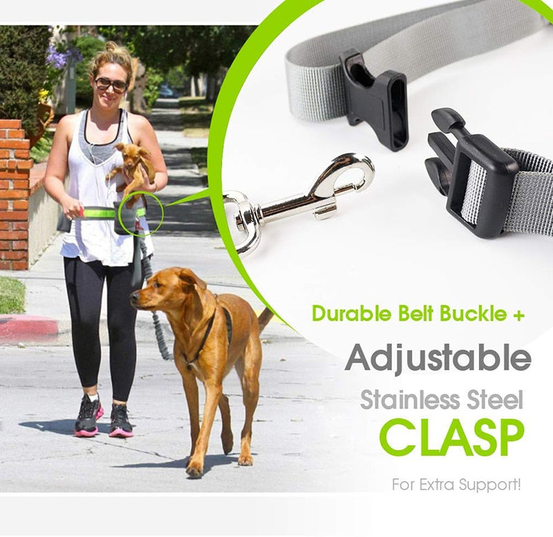 Handsfree Dog Leash With Two Storage Bags