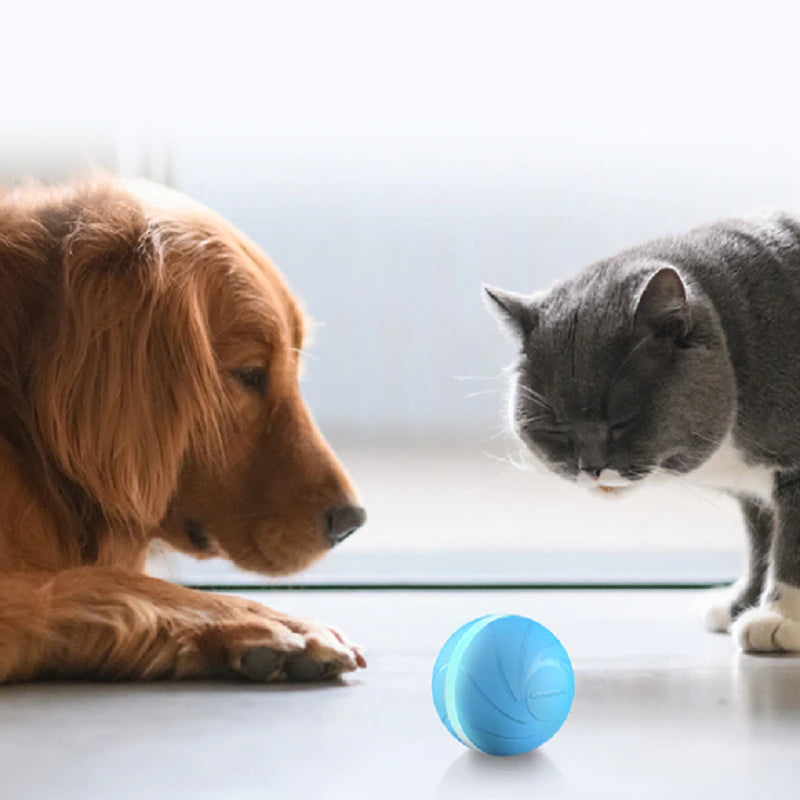 Smart Pet Toy Wicked Ball