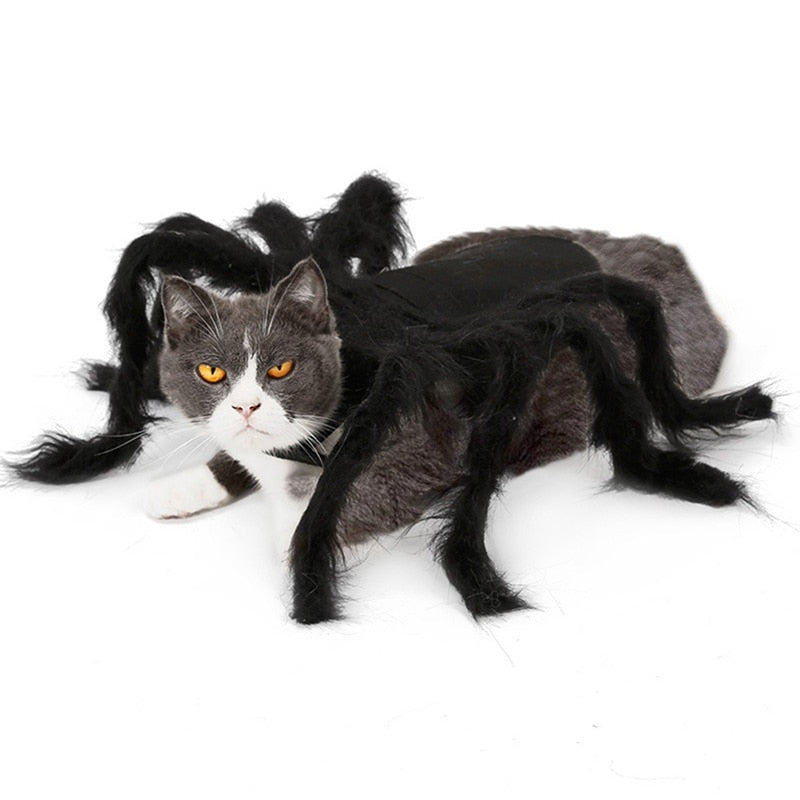 Halloween Black Spider Pet Costume