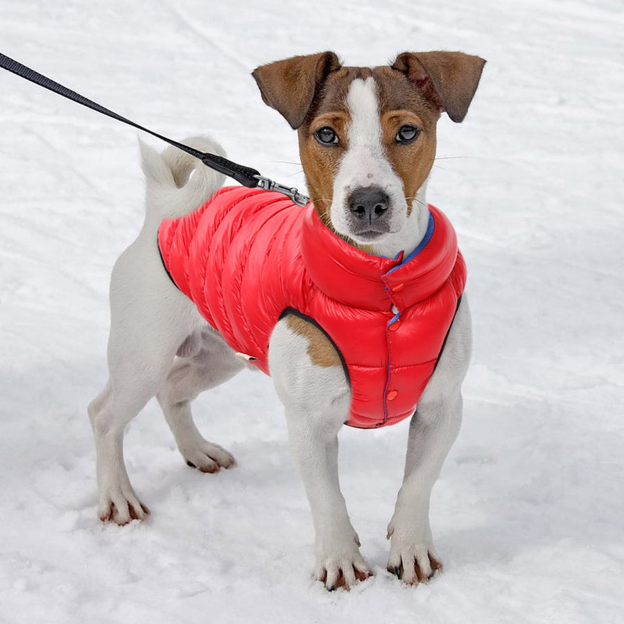 Reversible Red Warm Dog Jacket