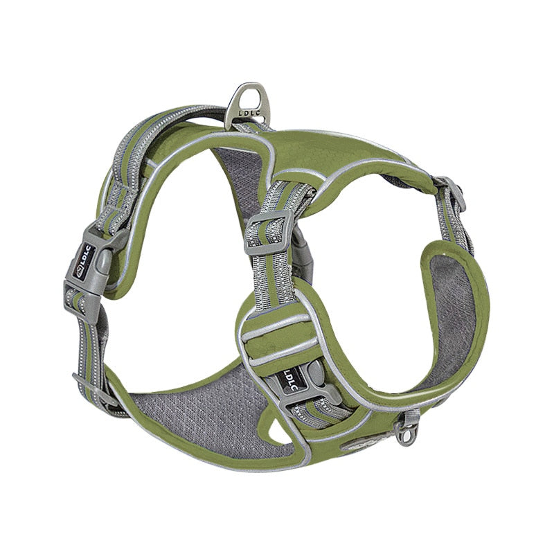 The Hornets Oxford Dog Harness