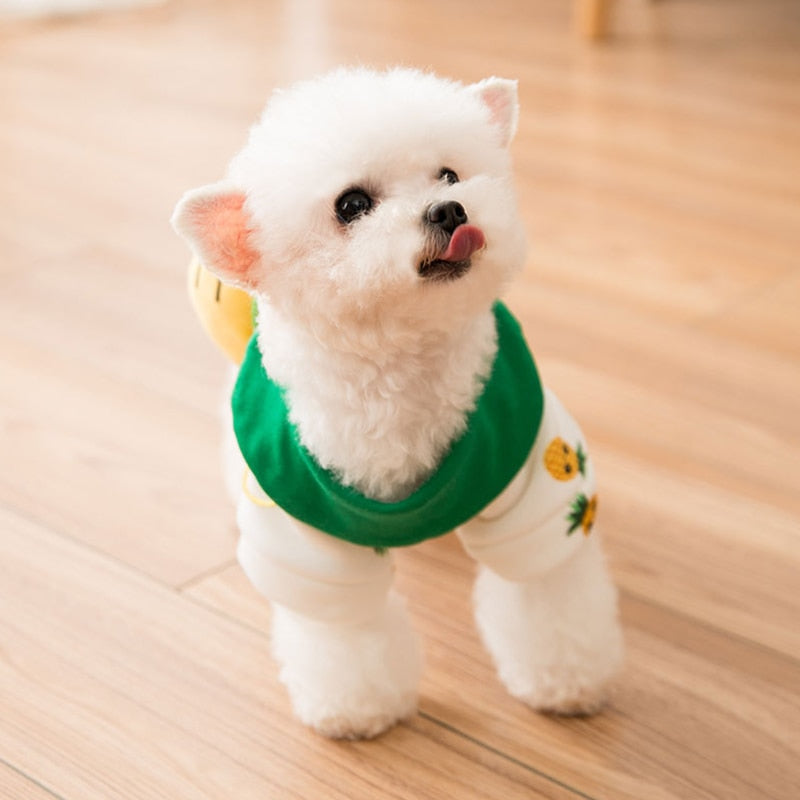 Autumn Pineapple Cute Dog Sweater