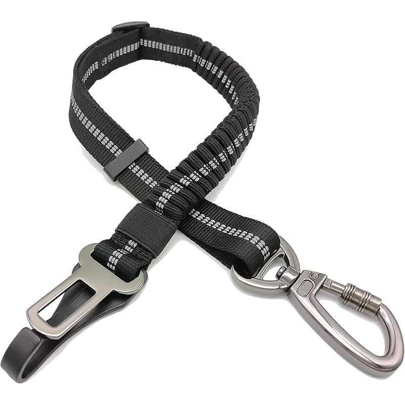 Enhanced Carabiner Dog Seat Belt Leash