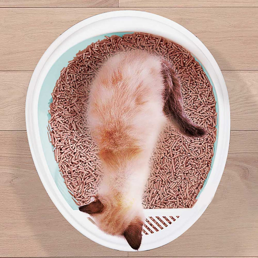 Hollow Design Anti Splash Cat Litter Box