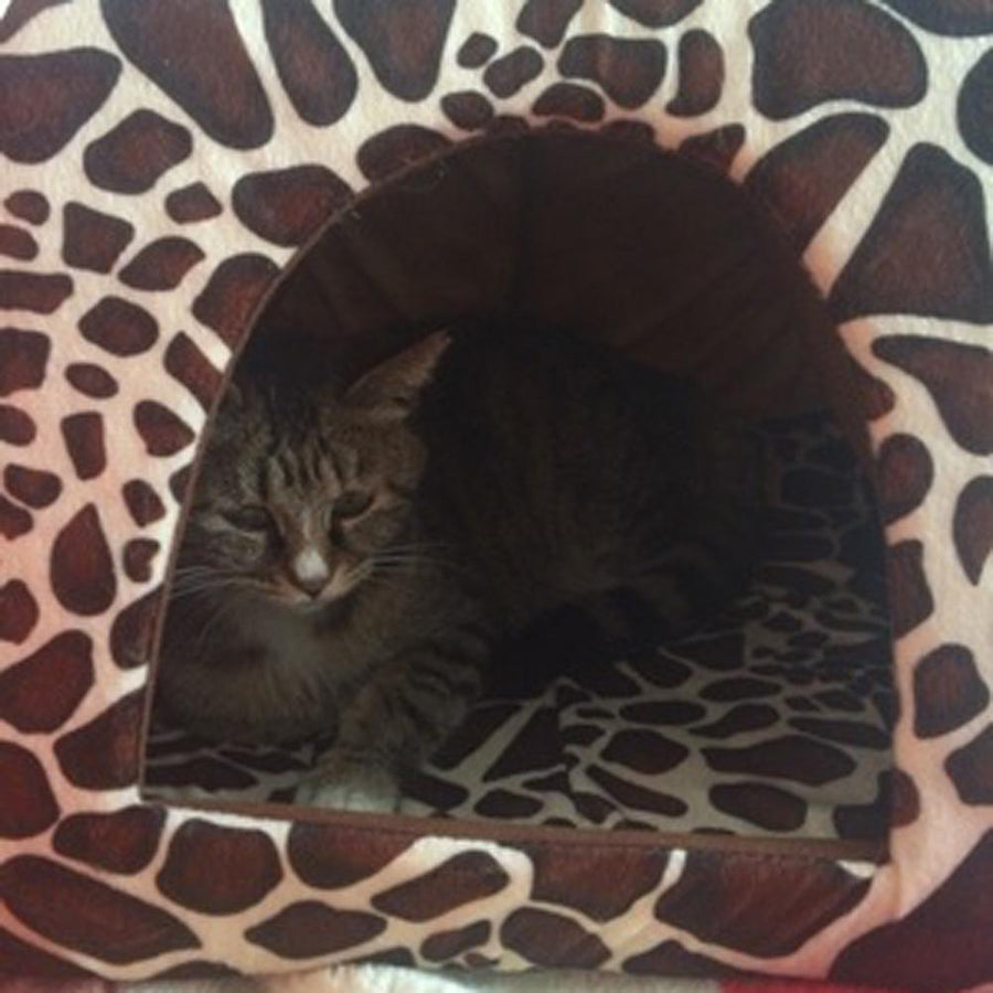 Warm Leopard Pet Cozy House