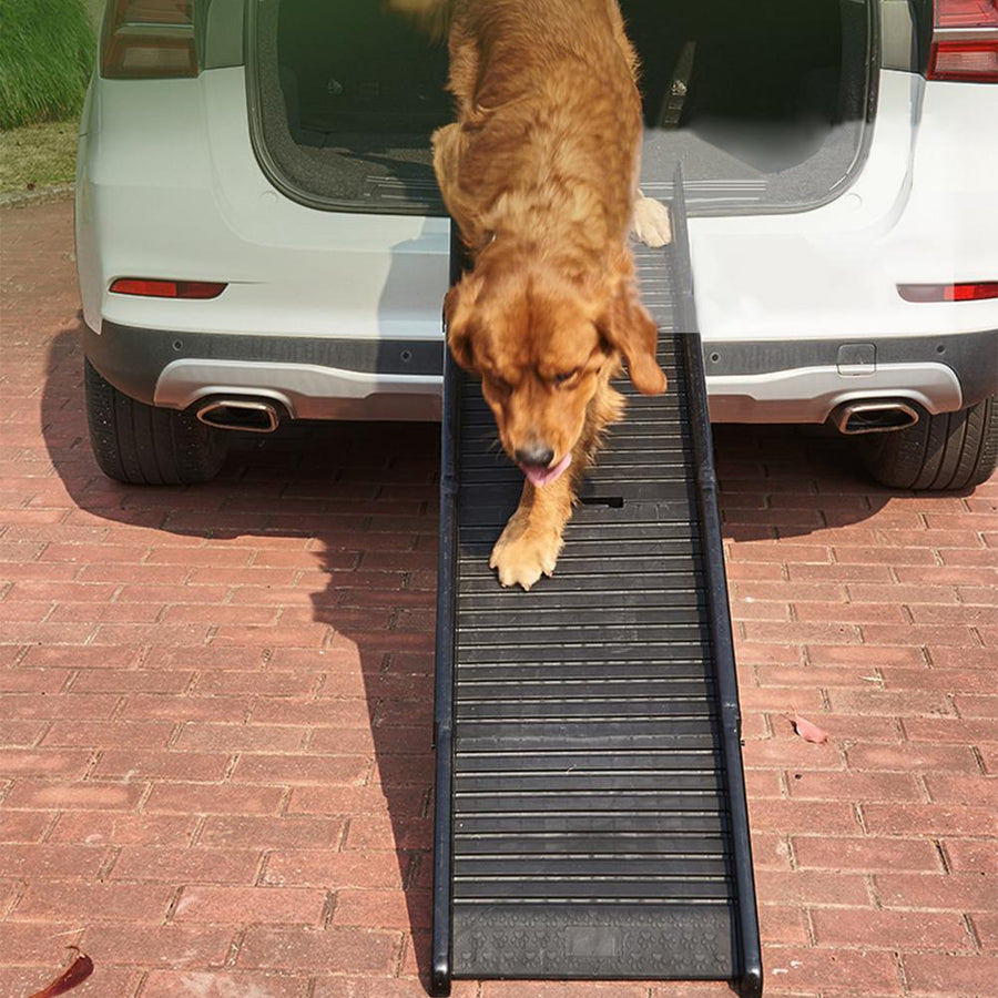 Lightweight Folding Pet Ramp