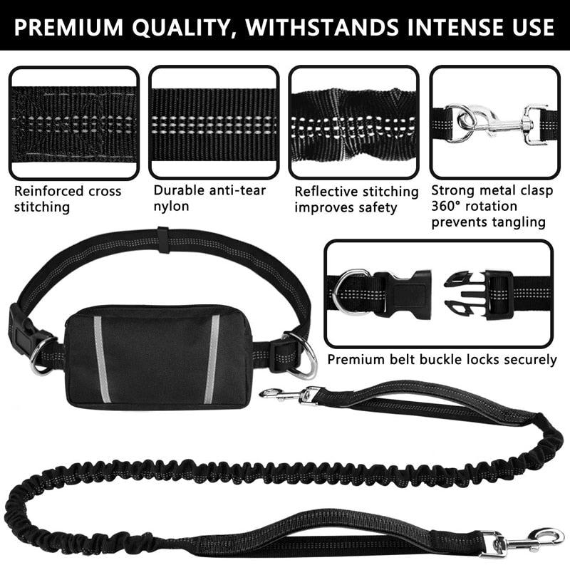 Elastic Bungee Hand Free Dog Lead