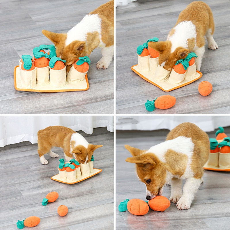 Fun Carrots Pet Dog Snuffle Pad